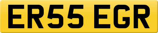 ER55EGR